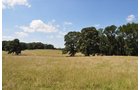 Property photo 21 - 1,575+/- Acres Offered in 23 Tracts